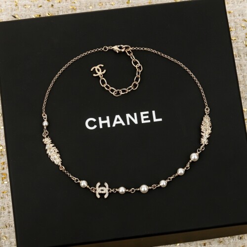 IMG 4127