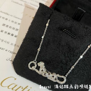 IMG_5859